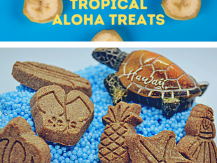 Tropical Aloha banna dog treats