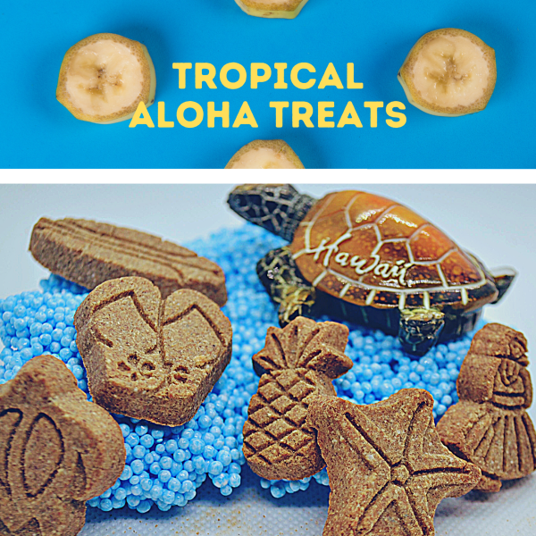 Tropical Aloha banna dog treats